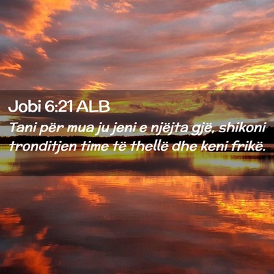 Picture 02 - Jobi 6:21 ALB - Tani për mua ju jeni e njëjta gjë, shikoni - Bible Verse Picture