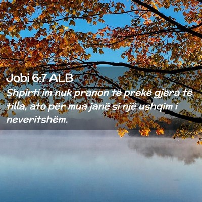 Picture 02 - Jobi 6:7 ALB - Shpirti im nuk pranon të prekë gjëra të - Bible Verse Picture