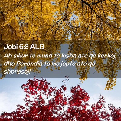 Picture 02 - Jobi 6:8 ALB - Ah sikur të mund të kisha atë që kërkoj, dhe - Bible Verse Picture