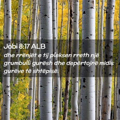 Picture 02 - Jobi 8:17 ALB - dhe rrënjët e tij pleksen rreth një grumbulli - Bible Verse Picture