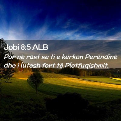 Picture 02 - Jobi 8:5 ALB - Por në rast se ti e kërkon Perëndinë dhe i - Bible Verse Picture