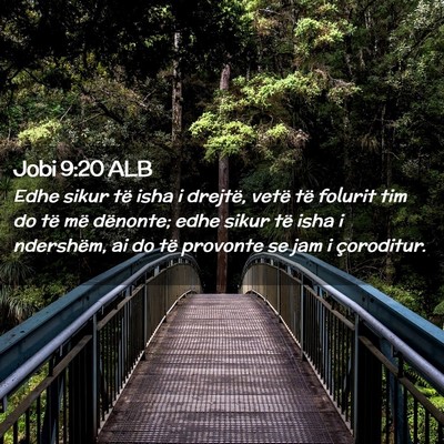 Picture 02 - Jobi 9:20 ALB - Edhe sikur të isha i drejtë, vetë të folurit - Bible Verse Picture