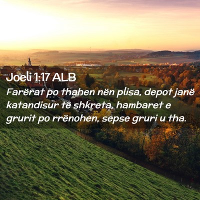 Picture 02 - Joeli 1:17 ALB - Farërat po thahen nën plisa, depot janë - Bible Verse Picture