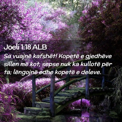 Picture 02 - Joeli 1:18 ALB - Sa vuajnë kafshët! Kopetë e gjedhëve sillen - Bible Verse Picture