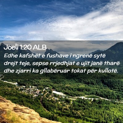 Picture 02 - Joeli 1:20 ALB - Edhe kafshët e fushave i ngrenë sytë drejt - Bible Verse Picture