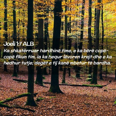 Picture 02 - Joeli 1:7 ALB - Ka shkatërruar hardhinë time, e ka bërë - Bible Verse Picture