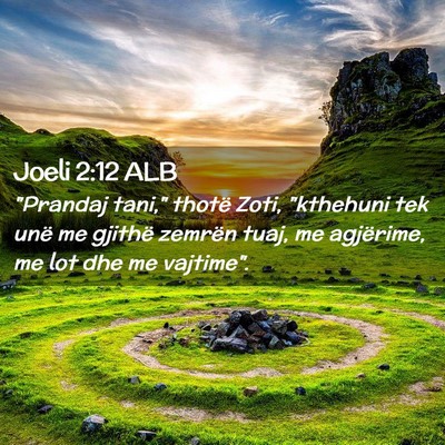 Picture 02 - Joeli 2:12 ALB - 