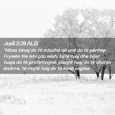 Picture 02 - Joeli 2:28 ALB - 
