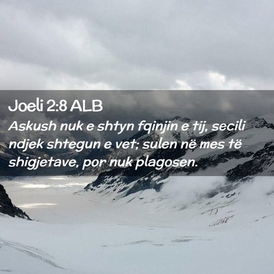 Picture 02 - Joeli 2:8 ALB - Askush nuk e shtyn fqinjin e tij, secili ndjek - Bible Verse Picture