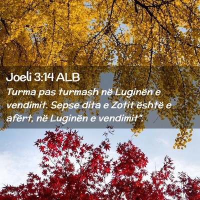 Picture 02 - Joeli 3:14 ALB - Turma pas turmash në Luginën e vendimit. Sepse - Bible Verse Picture
