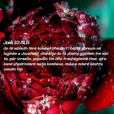 Picture 02 - Joeli 3:2 ALB - do të mbledh tërë kombet dhe do t’i bëj të - Bible Verse Picture