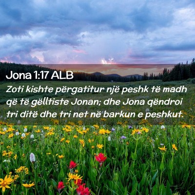 Picture 02 - Jona 1:17 ALB - Zoti kishte përgatitur një peshk të madh që - Bible Verse Picture