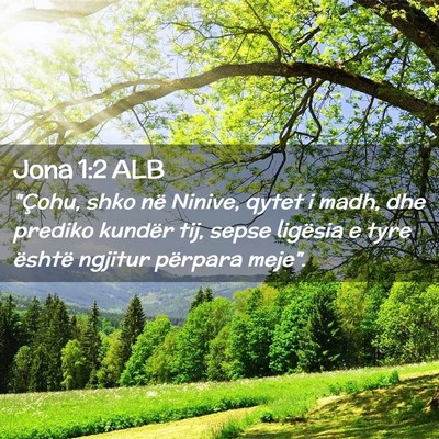 Picture 02 - Jona 1:2 ALB - 