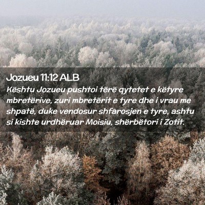 Picture 02 - Jozueu 11:12 ALB - Kështu Jozueu pushtoi tërë qytetet e këtyre - Bible Verse Picture