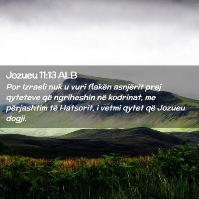 Picture 02 - Jozueu 11:13 ALB - Por Izraeli nuk u vuri flakën asnjërit prej - Bible Verse Picture