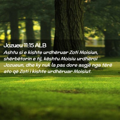 Picture 02 - Jozueu 11:15 ALB - Ashtu si e kishte urdhëruar Zoti Moisiun, - Bible Verse Picture