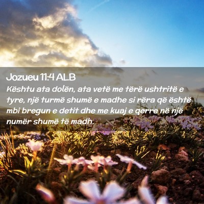 Picture 02 - Jozueu 11:4 ALB - Kështu ata dolën, ata vetë me tërë ushtritë - Bible Verse Picture
