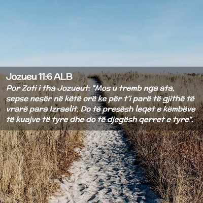 Picture 02 - Jozueu 11:6 ALB - Por Zoti i tha Jozueut: 