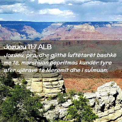 Picture 02 - Jozueu 11:7 ALB - Jozueu, pra, dhe gjithë luftëtarët bashkë me - Bible Verse Picture