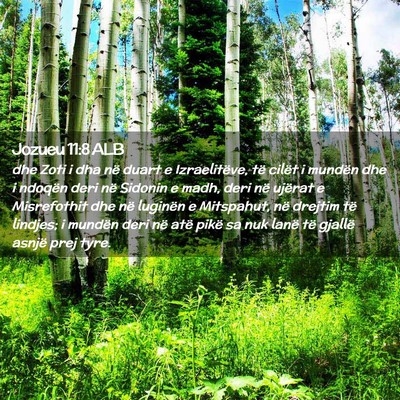 Picture 02 - Jozueu 11:8 ALB - dhe Zoti i dha në duart e Izraelitëve, të - Bible Verse Picture