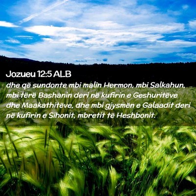 Picture 02 - Jozueu 12:5 ALB - dhe që sundonte mbi malin Hermon, mbi Salkahun, - Bible Verse Picture