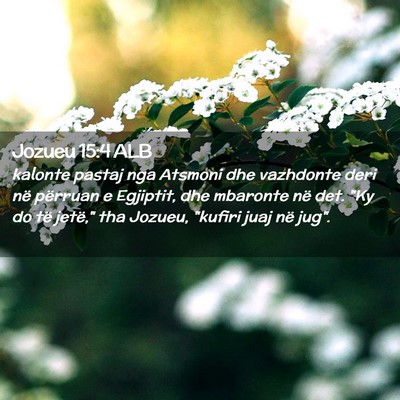 Picture 02 - Jozueu 15:4 ALB - kalonte pastaj nga Atsmoni dhe vazhdonte deri në - Bible Verse Picture