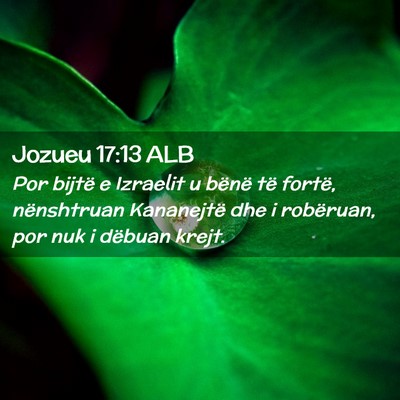 Picture 02 - Jozueu 17:13 ALB - Por bijtë e Izraelit u bënë të fortë, - Bible Verse Picture