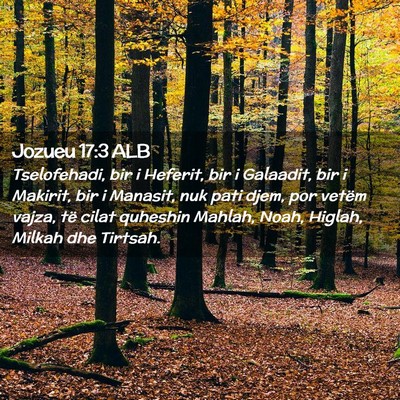 Picture 02 - Jozueu 17:3 ALB - Tselofehadi, bir i Heferit, bir i Galaadit, bir i - Bible Verse Picture