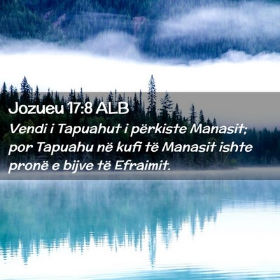 Picture 02 - Jozueu 17:8 ALB - Vendi i Tapuahut i përkiste Manasit; por Tapuahu - Bible Verse Picture