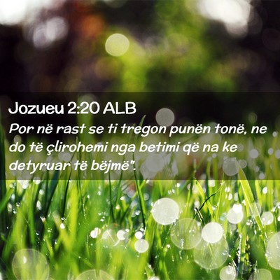 Picture 02 - Jozueu 2:20 ALB - Por në rast se ti tregon punën tonë, ne do të - Bible Verse Picture