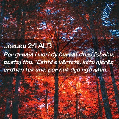 Picture 02 - Jozueu 2:4 ALB - Por gruaja i mori dy burrat dhe i fshehu; pastaj - Bible Verse Picture