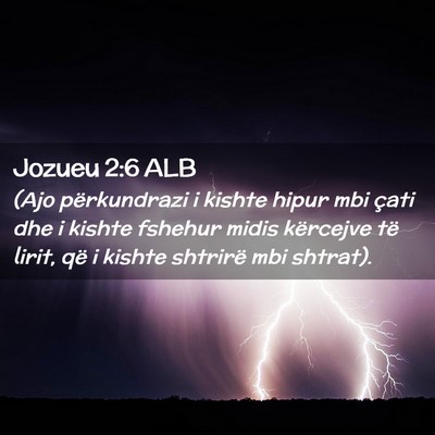 Picture 02 - Jozueu 2:6 ALB - (Ajo përkundrazi i kishte hipur mbi çati dhe i - Bible Verse Picture