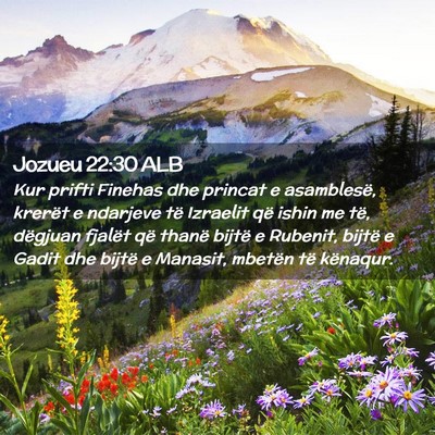 Picture 02 - Jozueu 22:30 ALB - Kur prifti Finehas dhe princat e asamblesë, - Bible Verse Picture