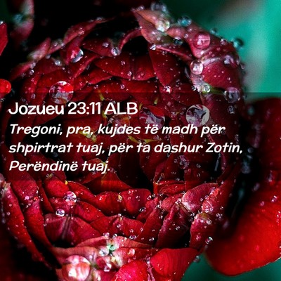 Picture 02 - Jozueu 23:11 ALB - Tregoni, pra, kujdes të madh për shpirtrat - Bible Verse Picture