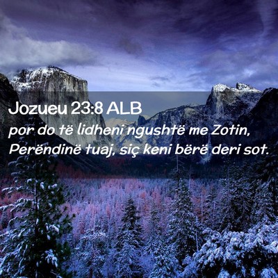 Picture 02 - Jozueu 23:8 ALB - por do të lidheni ngushtë me Zotin, Perëndinë - Bible Verse Picture
