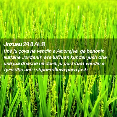 Picture 02 - Jozueu 24:8 ALB - Unë ju çova në vendin e Amorejve, që banonin - Bible Verse Picture