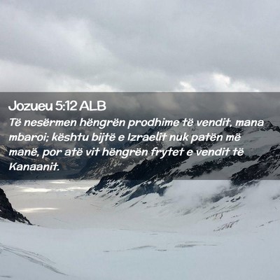 Picture 02 - Jozueu 5:12 ALB - Të nesërmen hëngrën prodhime të vendit, mana - Bible Verse Picture
