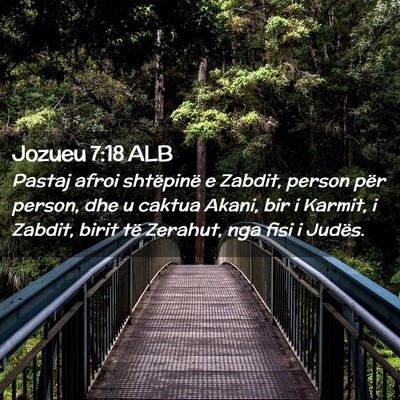 Picture 02 - Jozueu 7:18 ALB - Pastaj afroi shtëpinë e Zabdit, person për - Bible Verse Picture