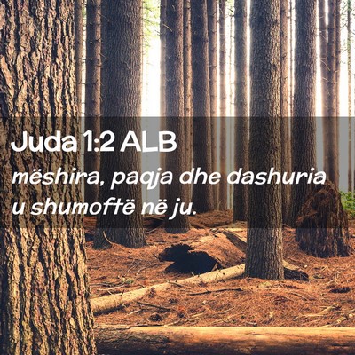 Picture 02 - Juda 1:2 ALB - mëshira, paqja dhe dashuria u shumoftë në - Bible Verse Picture