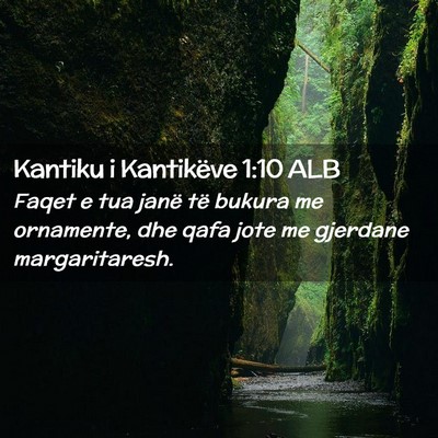 Picture 02 - Kantiku i Kantikëve 1:10 ALB - Faqet e tua janë të bukura me ornamente, dhe - Bible Verse Picture