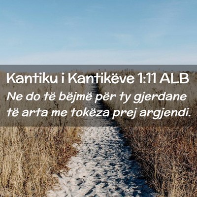 Picture 02 - Kantiku i Kantikëve 1:11 ALB - Ne do të bëjmë për ty gjerdane të arta me - Bible Verse Picture