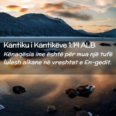 Picture 02 - Kantiku i Kantikëve 1:14 ALB - Kënaqësia ime është për mua një tufë - Bible Verse Picture