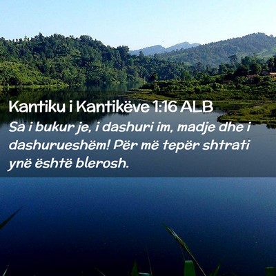 Picture 02 - Kantiku i Kantikëve 1:16 ALB - Sa i bukur je, i dashuri im, madje dhe i - Bible Verse Picture