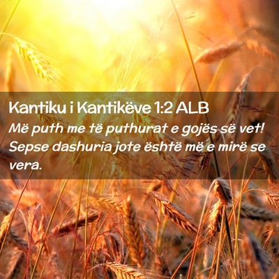 Picture 02 - Kantiku i Kantikëve 1:2 ALB - Më puth me të puthurat e gojës së vet! Sepse - Bible Verse Picture