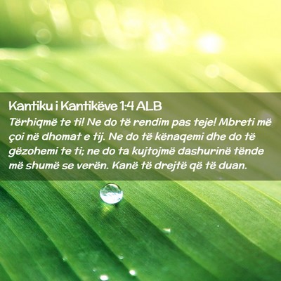 Picture 02 - Kantiku i Kantikëve 1:4 ALB - Tërhiqmë te ti! Ne do të rendim pas teje! - Bible Verse Picture