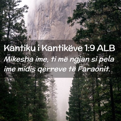 Picture 02 - Kantiku i Kantikëve 1:9 ALB - Mikesha ime, ti më ngjan si pela ime midis - Bible Verse Picture