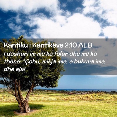 Picture 02 - Kantiku i Kantikëve 2:10 ALB - I dashuri im më ka folur dhe më ka thënë: - Bible Verse Picture