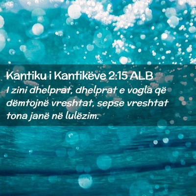 Picture 02 - Kantiku i Kantikëve 2:15 ALB - I zini dhelprat, dhelprat e vogla që dëmtojnë - Bible Verse Picture