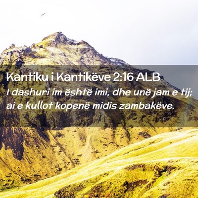 Picture 02 - Kantiku i Kantikëve 2:16 ALB - I dashuri im është imi, dhe unë jam e tij; ai - Bible Verse Picture