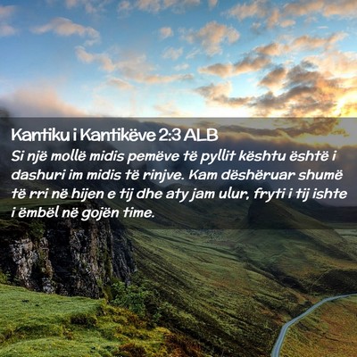 Picture 02 - Kantiku i Kantikëve 2:3 ALB - Si një mollë midis pemëve të pyllit kështu - Bible Verse Picture
